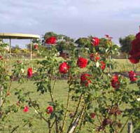 Elizabeth Park Rose Gardens - Hotel Accommodation