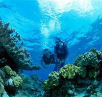 Coral Gardens Dive Site - Hotel Accommodation