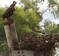 Blackall Sculpture Trail - Hotel Accommodation