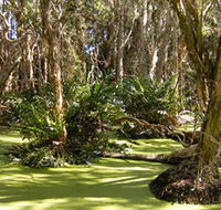 Arkarra Lagoons and Tea Gardens - Hotel Accommodation