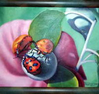 Kingaroy Shire Art Gallery - Hotel Accommodation