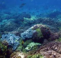 Hoffman's Rocks Dive Site - Hotel Accommodation