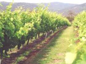 Wyberba QLD Hotel Accommodation