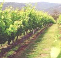 Girraween Estate - Hotel Accommodation