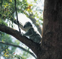 Daisy Hill Conservation Park - Hotel Accommodation