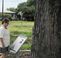 Augathella Kenniff Tree - Hotel Accommodation