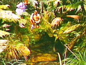 The Tombs Circuit - Hotel Accommodation 0