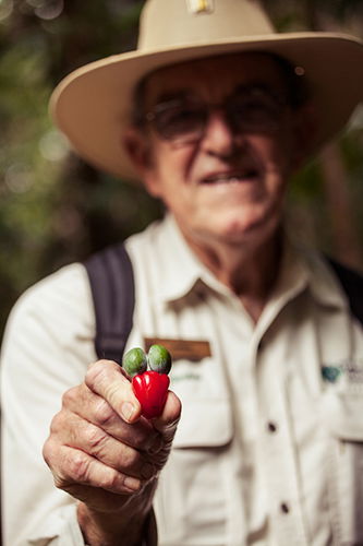 Tondoon Botanic Gardens - Hotel Accommodation 1