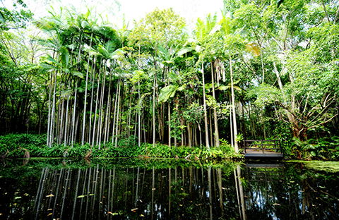 Tondoon Botanic Gardens - Hotel Accommodation 11