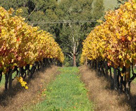 Wild Dog Winery & Restaurant - Hotel Accommodation 0