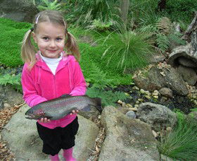 Wild Food Farm & Cafe - Hotel Accommodation 0