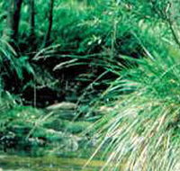 Lerderderg State Park - Hotel Accommodation