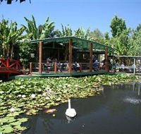 Blue Lotus Water Garden - Hotel Accommodation