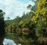 Warrandyte State Park - Hotel Accommodation
