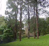 Mount Dandenong Arboretum - Hotel Accommodation