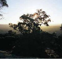 Yarra Flats - Hotel Accommodation