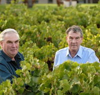 Campbells Wines - Hotel Accommodation