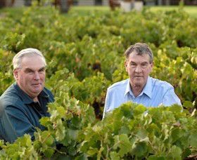 Campbells Wines - Hotel Accommodation 0
