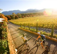 Boyntons Feathertop Winery - Hotel Accommodation