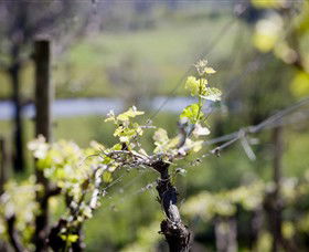 Glenrowan VIC Hotel Accommodation