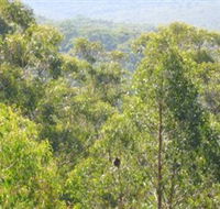 Bunyip State Park - Hotel Accommodation