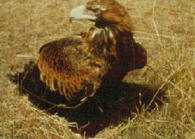 Long Forest Nature Conservation Reserve - Hotel Accommodation 0