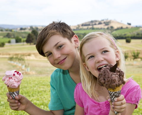 Yarra Valley Chocolaterie & Ice Creamery - Hotel Accommodation 6