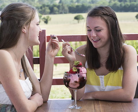 Yarra Valley Chocolaterie & Ice Creamery - Hotel Accommodation 8
