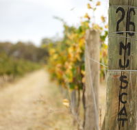 Stanton and Killeen Wines - Hotel Accommodation