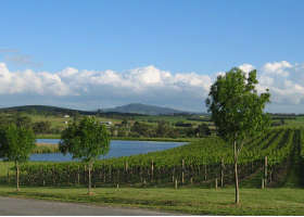 Yarrawood Estate - Hotel Accommodation 0
