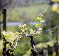 Coldstream Hills - Hotel Accommodation
