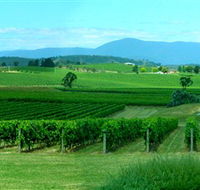 Acacia Ridge Vineyard - Hotel Accommodation