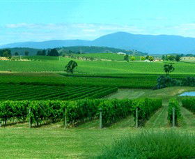Acacia Ridge Vineyard - Hotel Accommodation 0