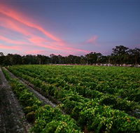 Amherst Winery - Hotel Accommodation