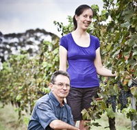 Anderson Winery - Hotel Accommodation