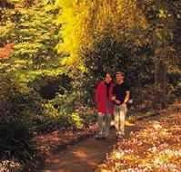 George Tindale Memorial Gardens - Hotel Accommodation