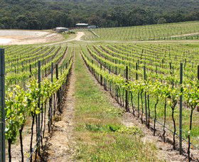 M Chapoutier Australia - Hotel Accommodation 0