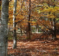 RJ Hamer Arboretum - Hotel Accommodation