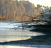 Barmah National Park
