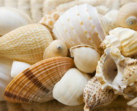 Anglesea Beach Club - Hotel Accommodation 0