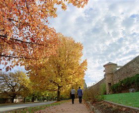 Beechworth Historic And Cultural Precinct - Hotel Accommodation 0