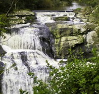 Agnes Falls Scenic Reserve - Hotel Accommodation