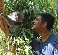 Healesville Sanctuary - Hotel Accommodation