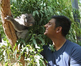 Healesville Sanctuary - Hotel Accommodation 0