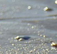Cape Liptrap Coastal Park - Hotel Accommodation