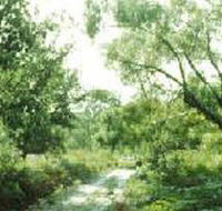 Holey Plains State Park - Hotel Accommodation