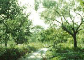 Holey Plains State Park - Hotel Accommodation 0