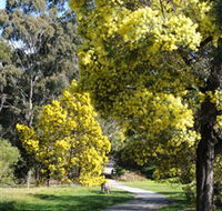 Wattle Park - Hotel Accommodation