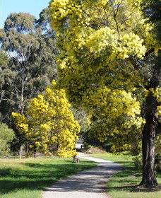 Wattle Park - Hotel Accommodation 0