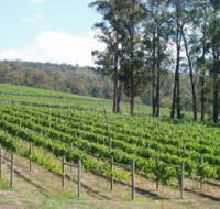 Piedmont Vineyard - Hotel Accommodation